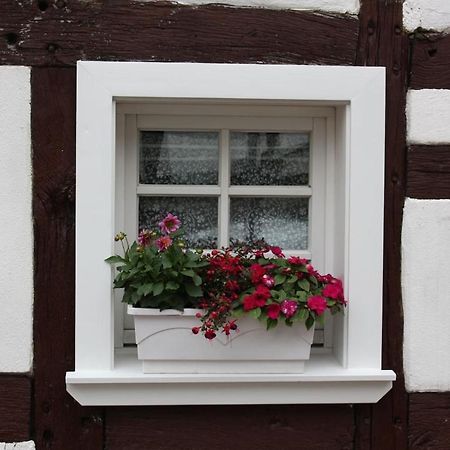 Gemuetliche Fachwerkwohnung Alfter Extérieur photo