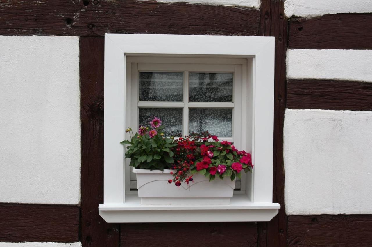 Gemuetliche Fachwerkwohnung Alfter Extérieur photo
